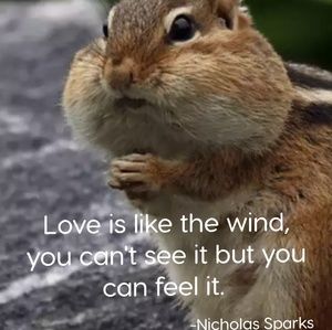 Meet your Posher, Lora